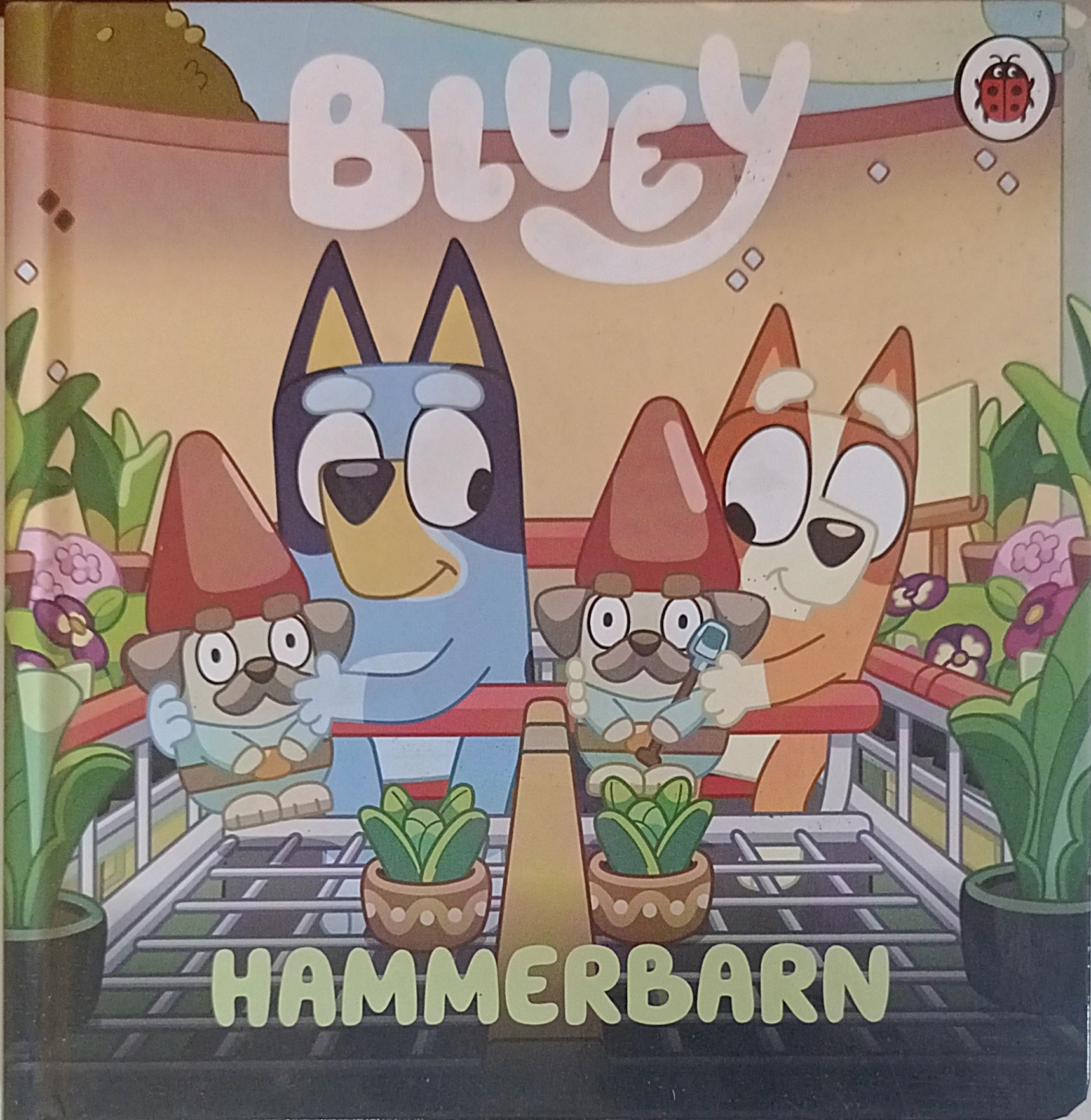 Bluey Hammerbarn