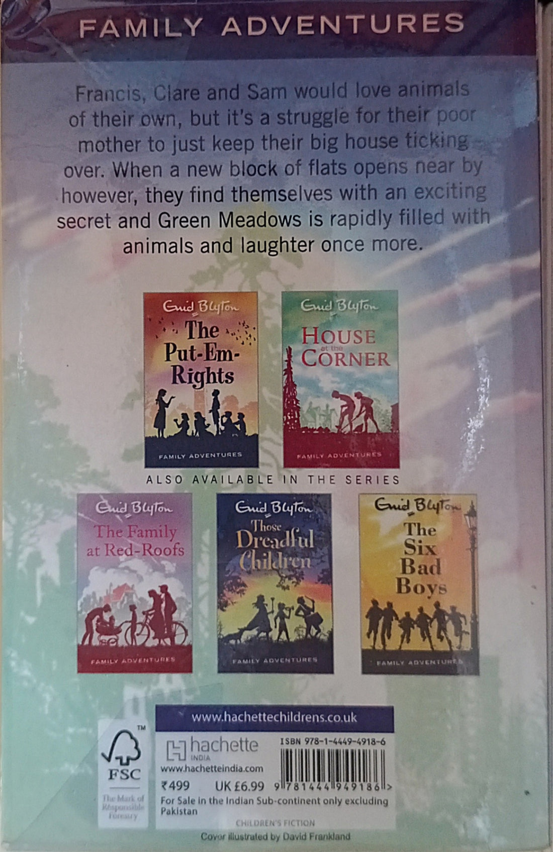 The Family Adventure Series: The Children at Green Meadows