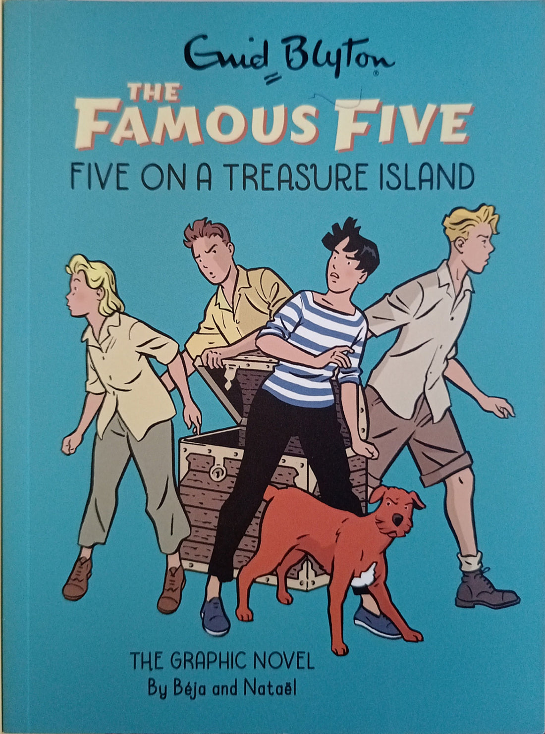 The Famous Five #1 Five on a Treasure Island (The Graphic Novel)