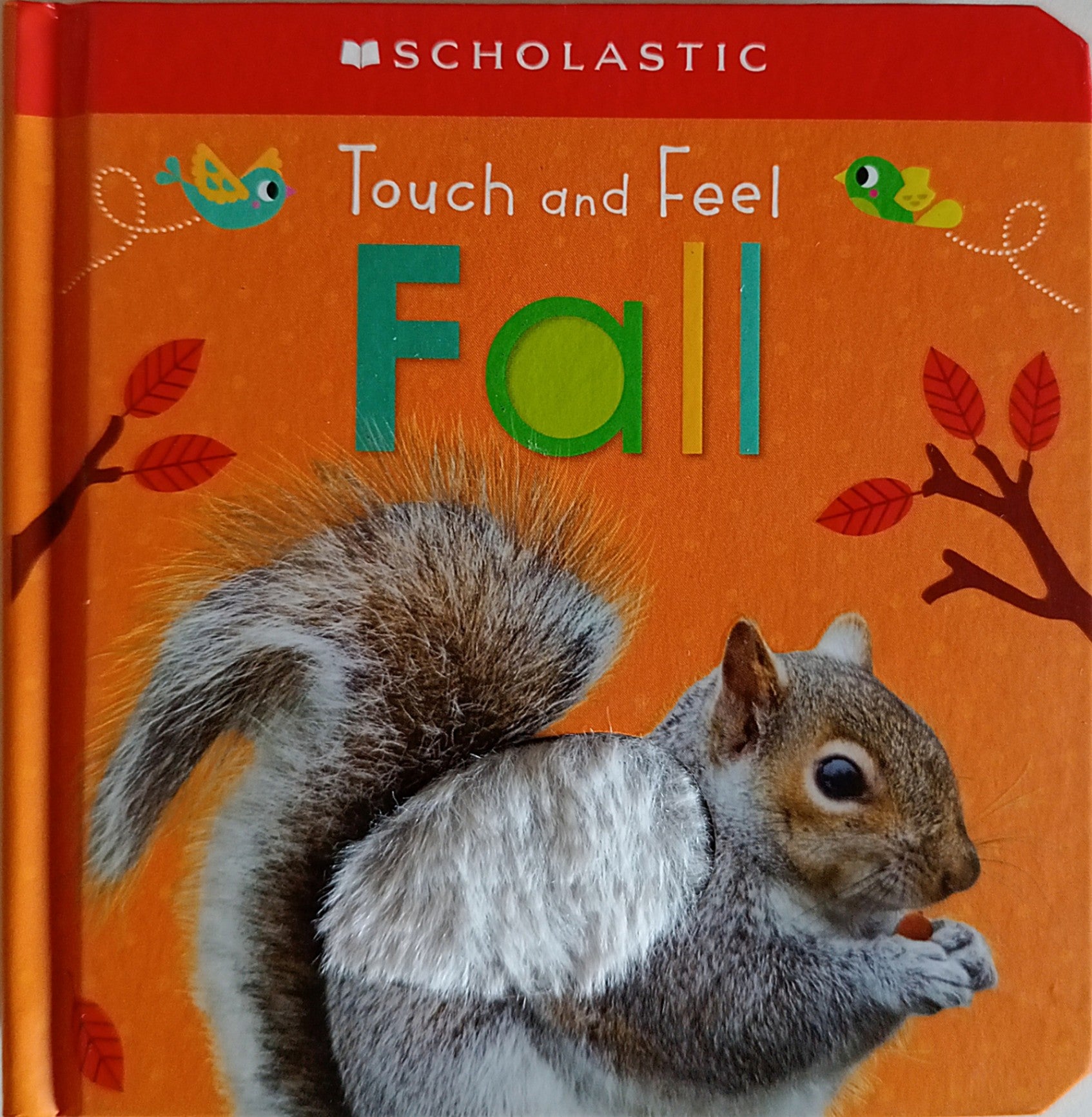 Touch and Feel Fall