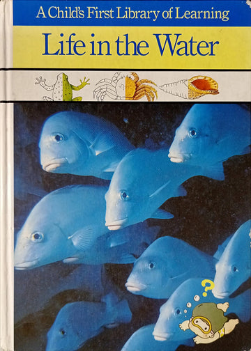A Child First Library of Learning-Life in the Water