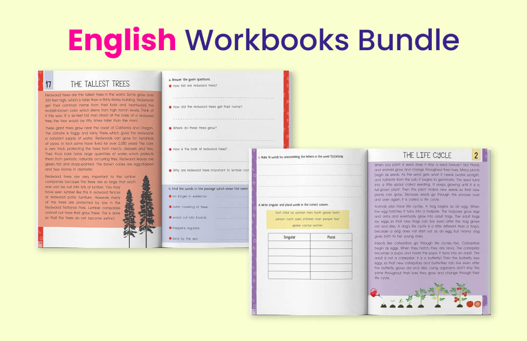 Grade 2 Workbook Bundles (7-8 yrs)