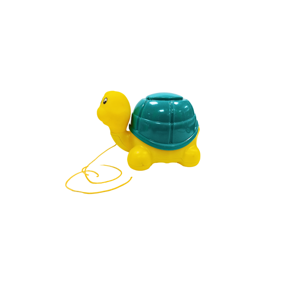 Turtle Pull Toy