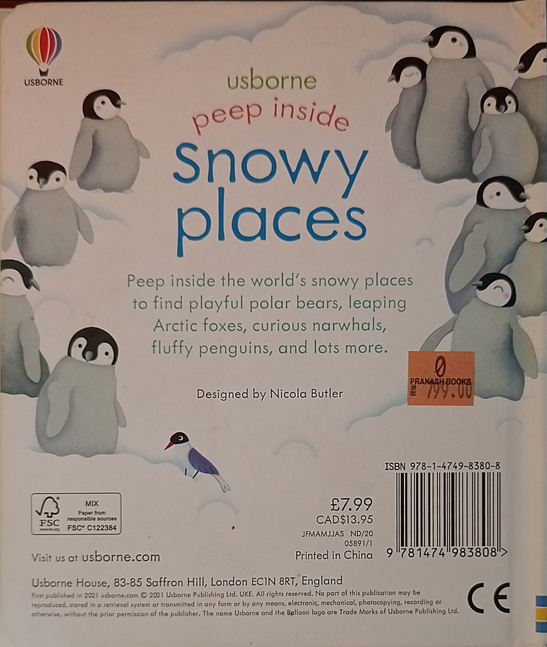 Usborne Peep Inside Snowy Places