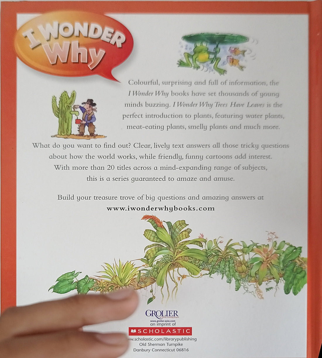 I Wonder Why: I Wonder Why Trees Have Leaves And Other Question About Plants