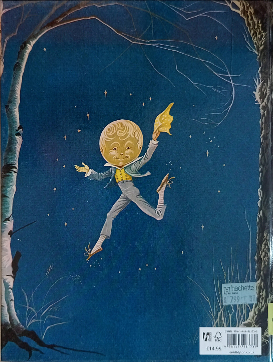 The Faraway Tree #1 The Enchanted Wood (Special Colour Edition)