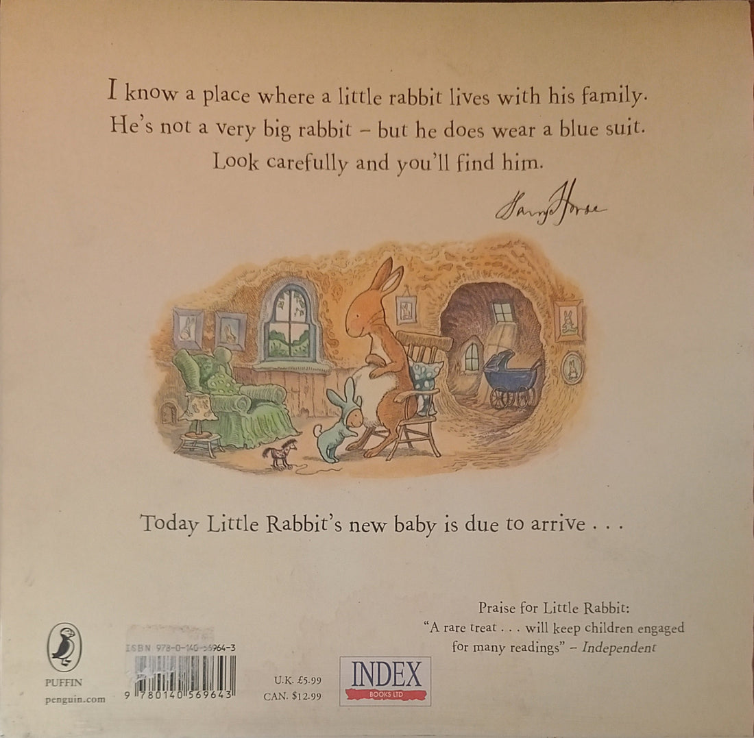 Little Rabbit's New Baby