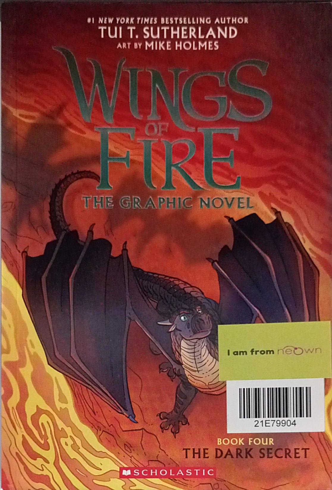 Wings of Fire: The Dark Secret (Graphic Novel)