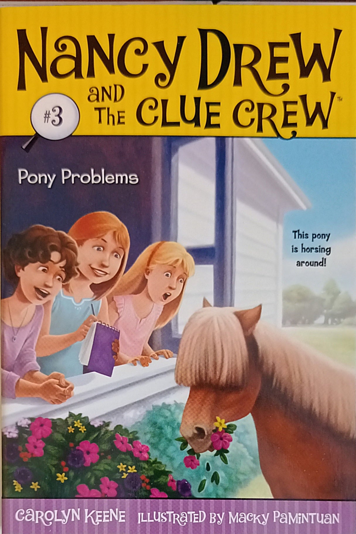 Nancy Drew and the Clue Crew Pony Problems