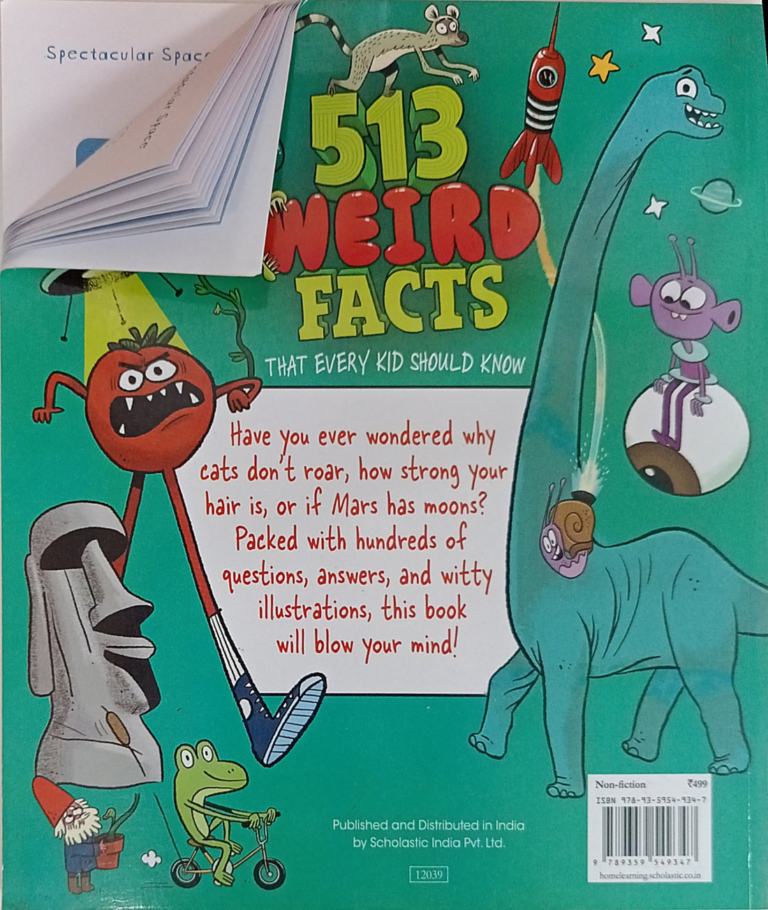 513 Weird Facts That Every Kid Should Know