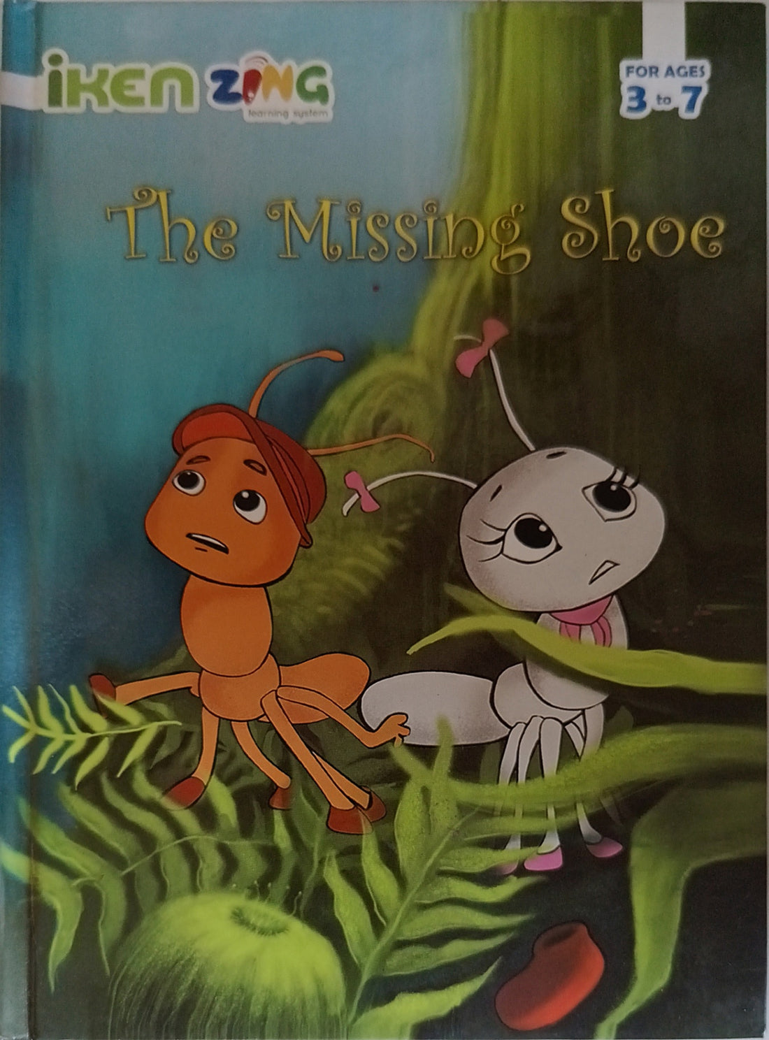 The Missing Shoe