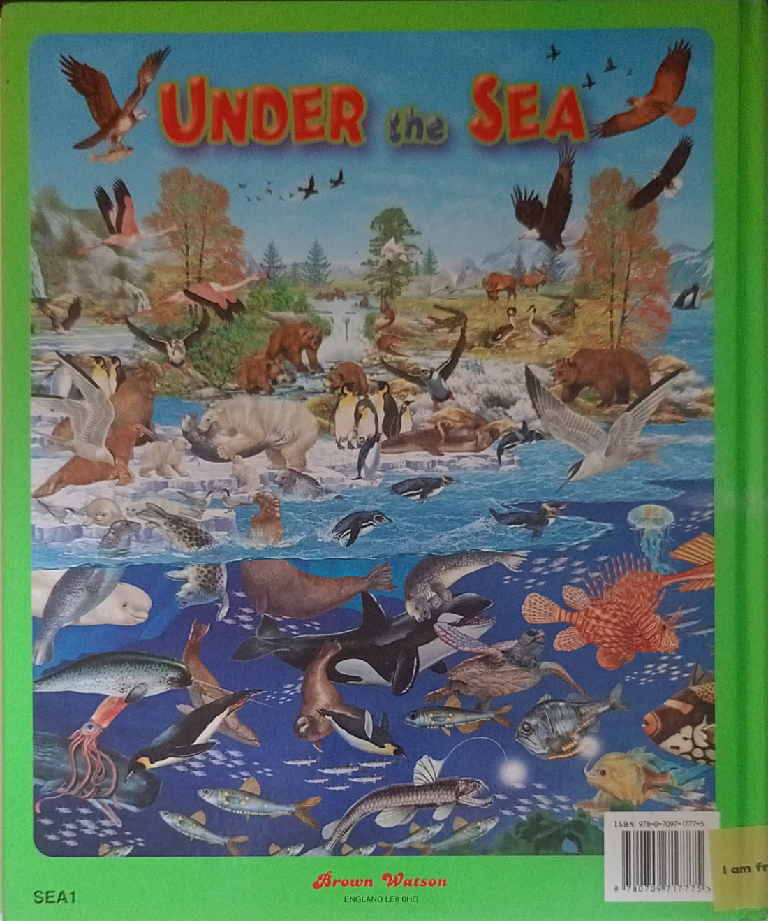 My First Search & Find: Under the Sea
