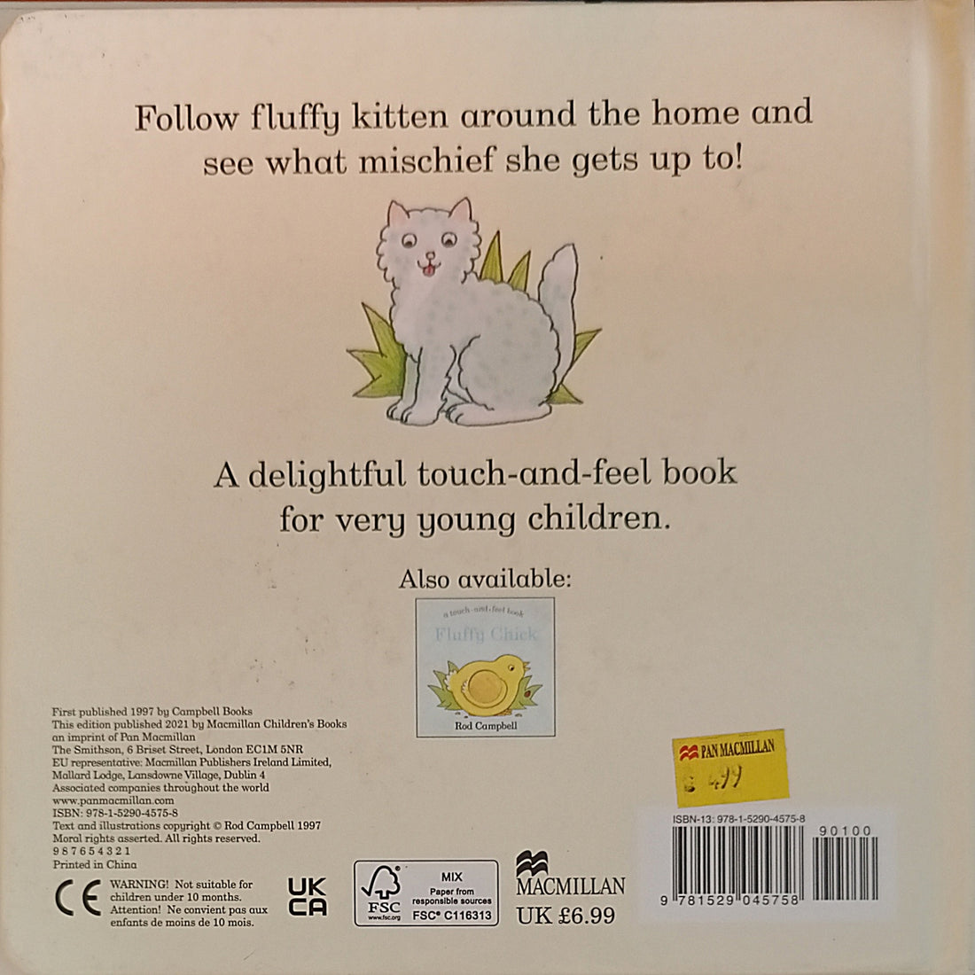 Fluffy Kitten (A Touch and Feel Book)