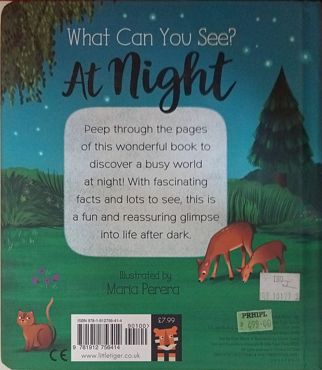 What Can You See?: What Can You See? At Night