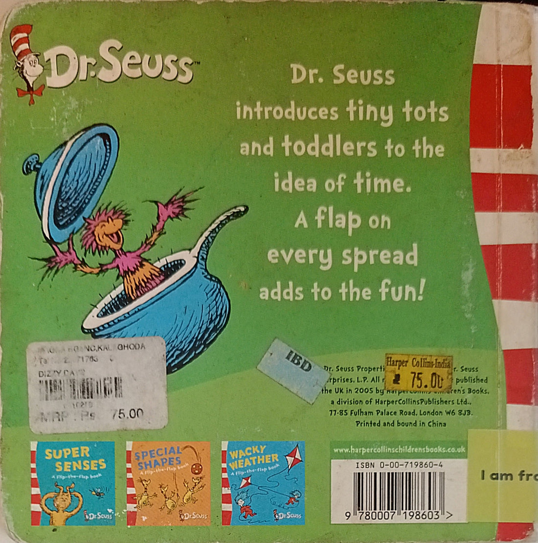Dizzy Days (A Flip-the-Flap Book)