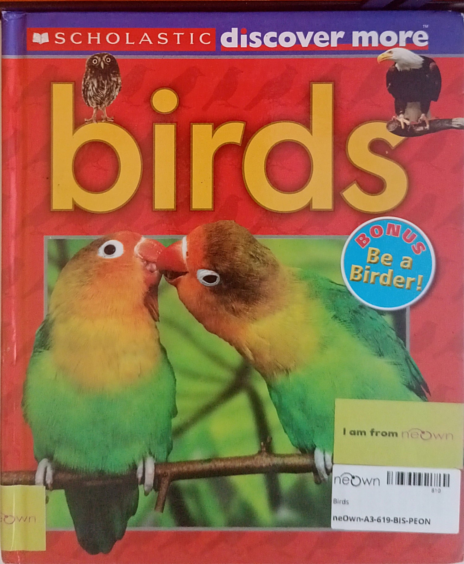 Birds