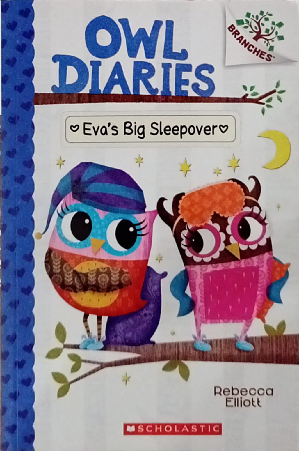 Owl Diaries-Eva's Big Sleepover