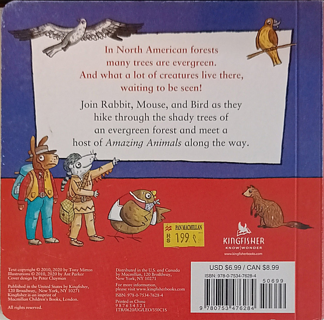 Amazing Animals: Forest Adventure