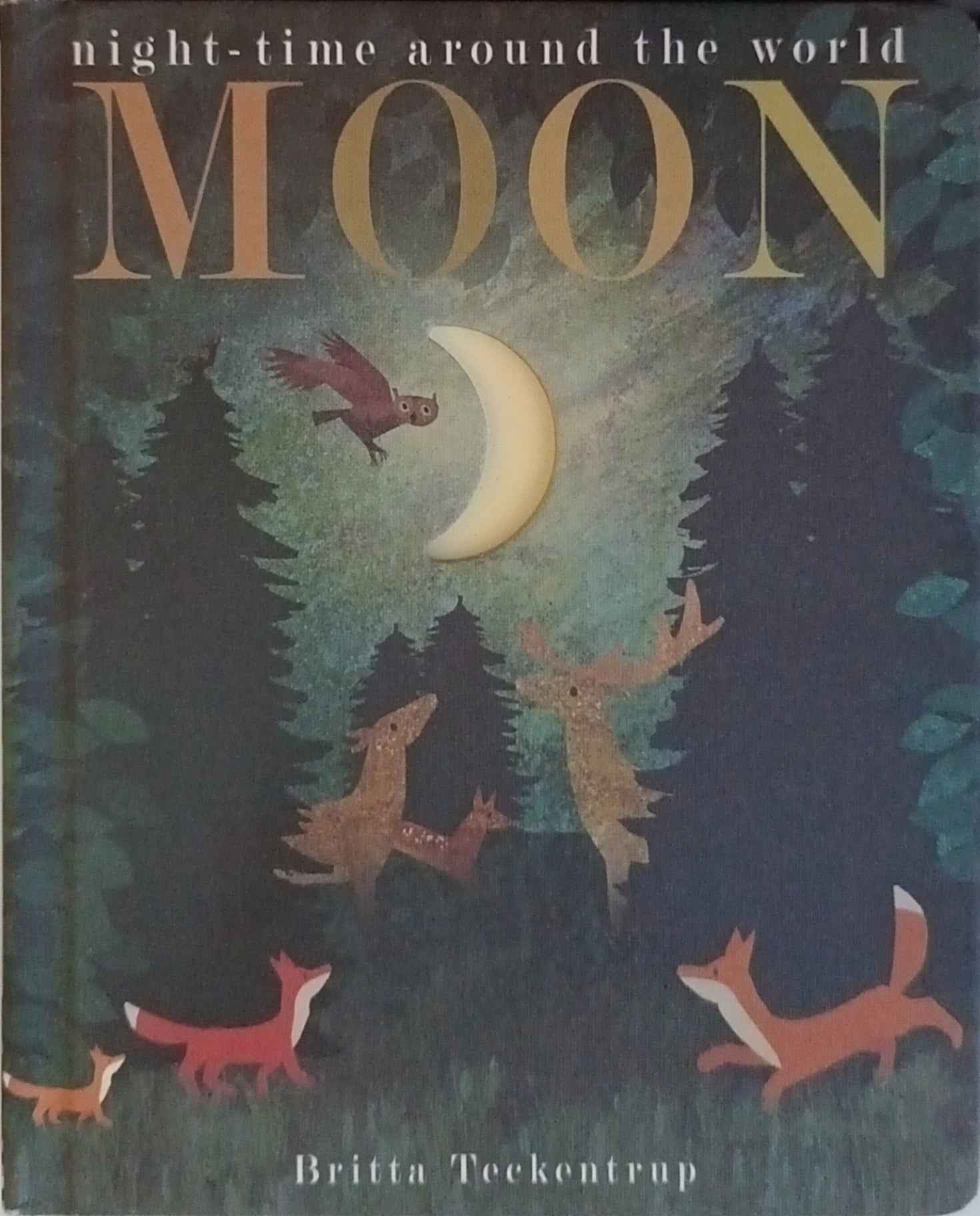 Peek-Through Nature: Night-time Around the World Moon (Board Book)